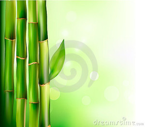 bamboo-background-vector-23350405